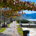 Semana começa com sol em SC, mas frente fria muda o tempo no fim de semana