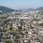 Jaraguá do Sul prepara plano para organizar arborização urbana do município