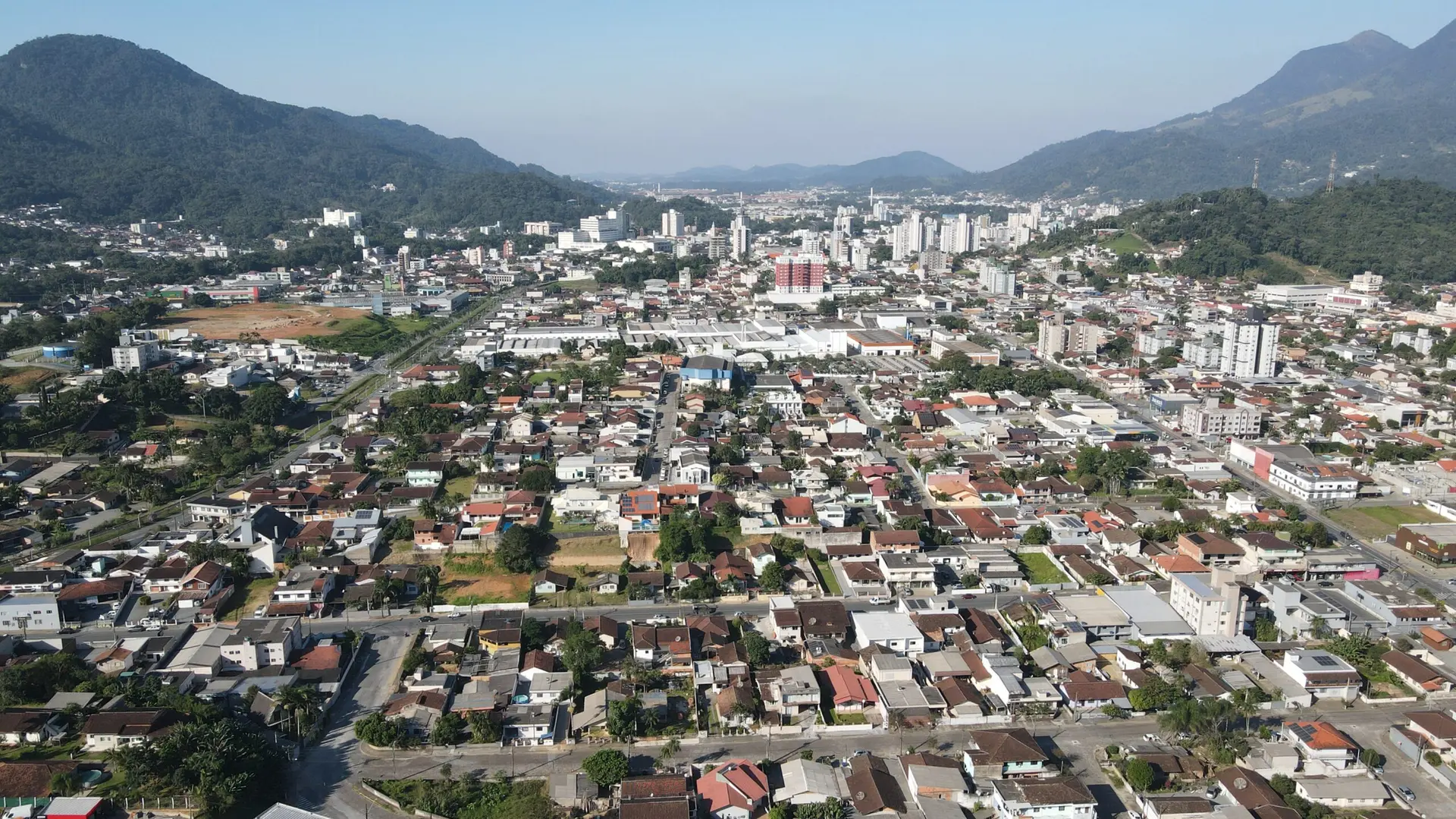 Jaraguá do Sul prepara plano para organizar arborização urbana do município