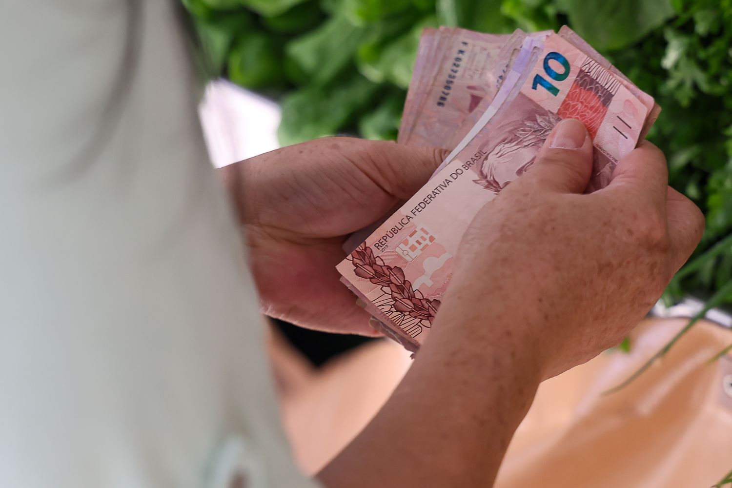 Santa Catarina é o estado que menos recebe Bolsa Família no país