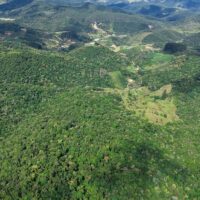 Proprietários rurais podem atualizar Cadastro Ambiental Rural pela internet