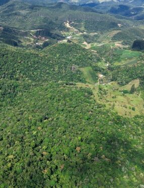 Proprietários rurais podem atualizar Cadastro Ambiental Rural pela internet