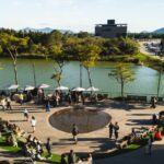 Curta o Sapiens estreia com programação cultural gratuita no Sapiens Parque