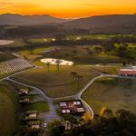 Número de vinícolas cresce 29% em SC desde 2020