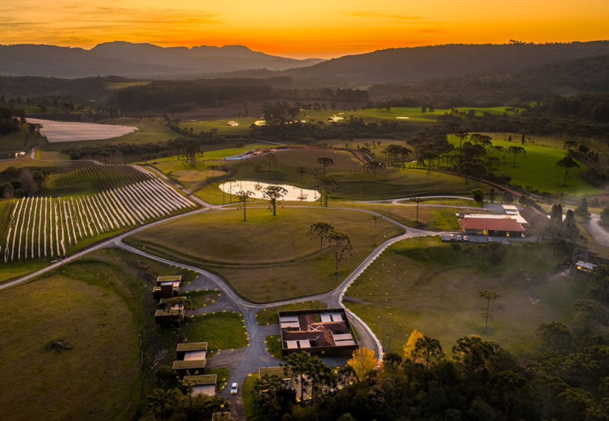 Número de vinícolas cresce 29% em SC desde 2020