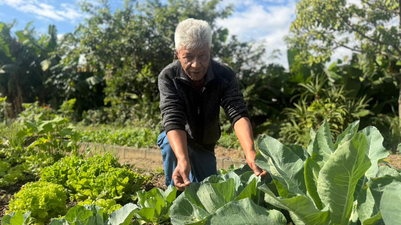 Programa de hortas comunitárias amplia produção sustentável e ocupação urbana em São José
