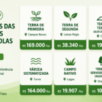 Preço das terras agrícolas sobe em Santa Catarina e reflete avanço do agronegócio