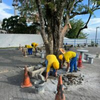 Revitalização do Morro da Cruz avança e inclui retomada da iluminação da cruz em Florianópolis