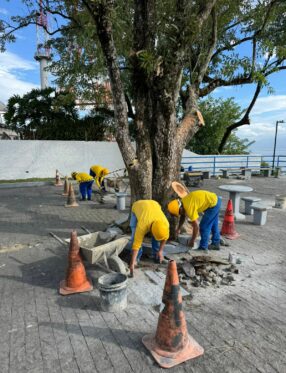 Revitalização do Morro da Cruz avança e inclui retomada da iluminação da cruz em Florianópolis