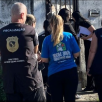 Força-tarefa resgata 32 cães em situação de maus-tratos em Palhoça