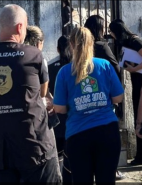 Força-tarefa resgata 32 cães em situação de maus-tratos em Palhoça