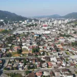 Jaraguá do Sul prepara plano para organizar arborização urbana do município